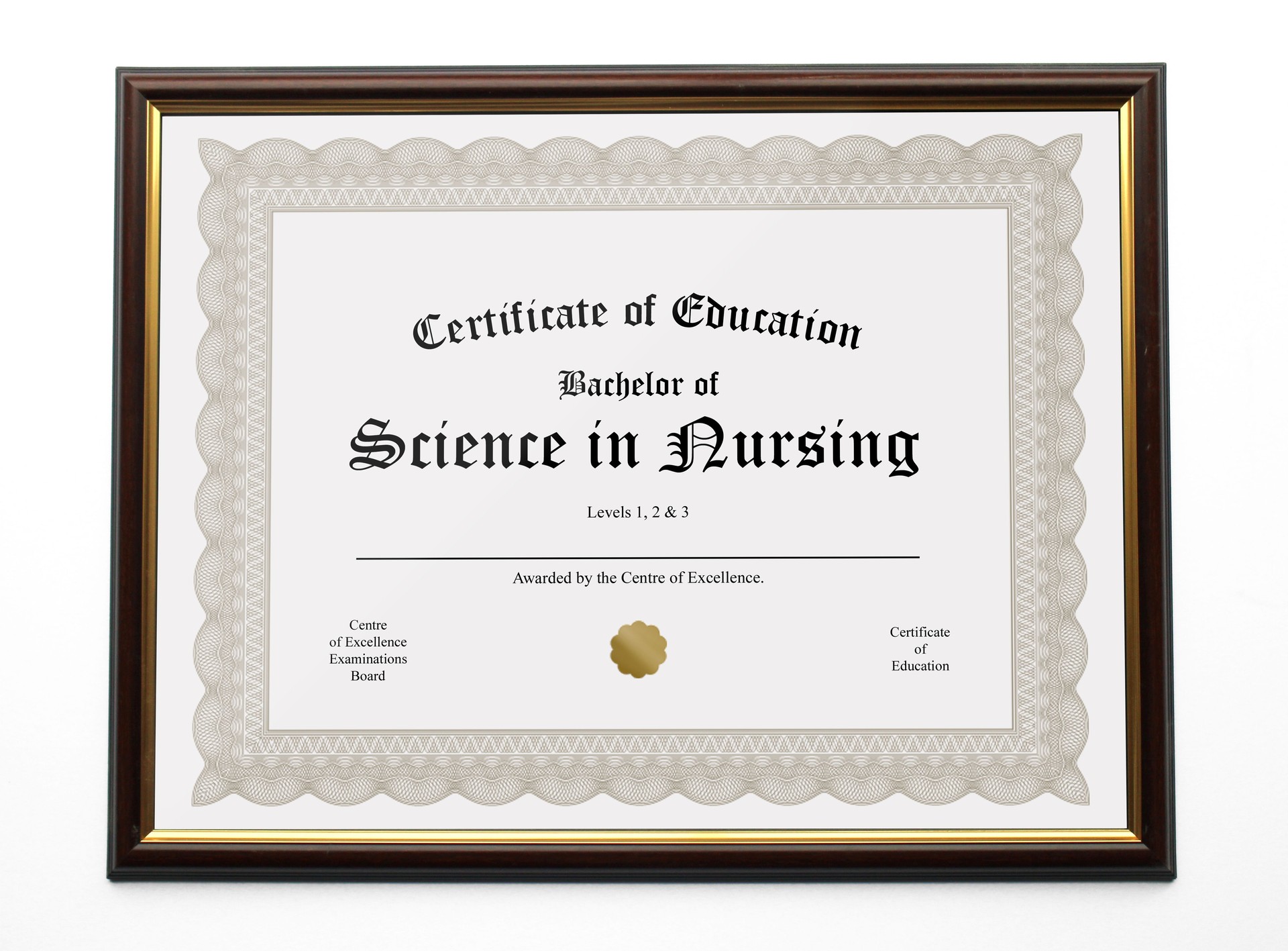 Nursing Degree